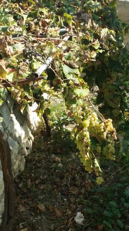Ferienwohnung Sole E Fiori Di Sicilia Valderice Exterior foto
